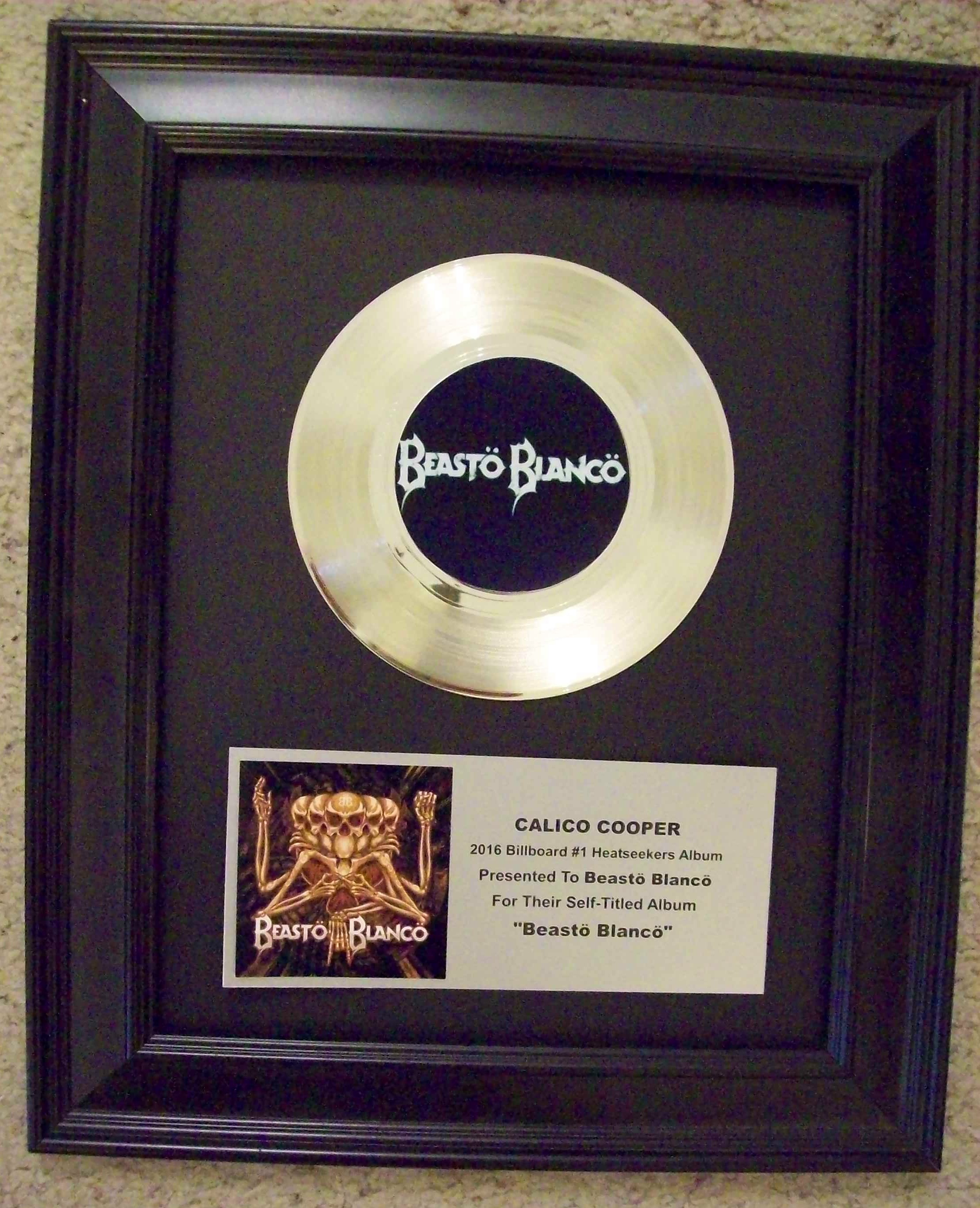 Image for Custom Platinum 45 7" Record Award/Trophy